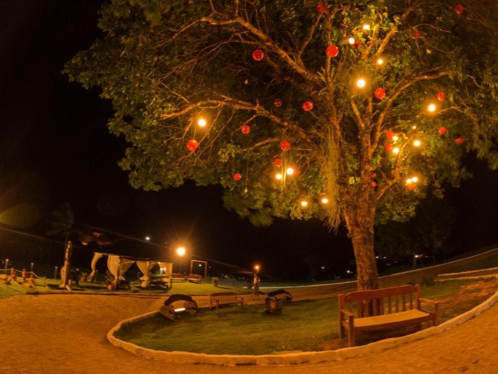 Fazenda Pedra Do Rodeadouro Hotel